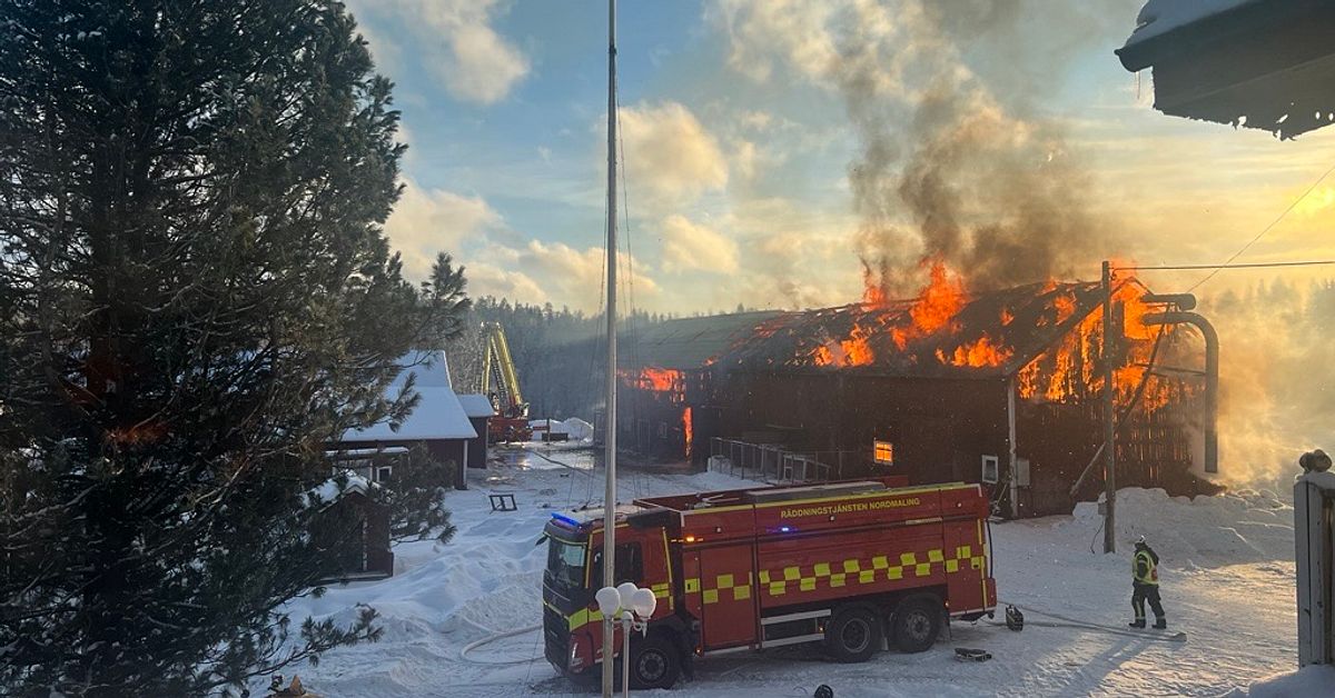 Ladug&aring;rd i Gr&auml;smyr brinner &ndash; djur kvar i byggnaden