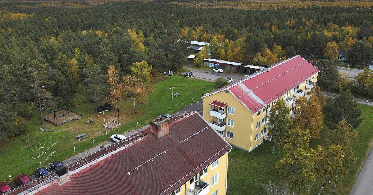 Regeringen l&auml;t LKAB i Kiruna k&ouml;pa renbetesmark &ndash; mot l&auml;nsstyrelsens vilja