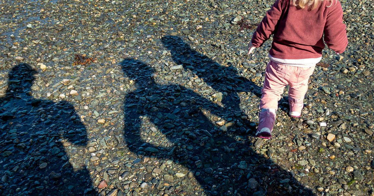 Uppgifter om fler misstänkta i LVU-härvan i Älvsbyn