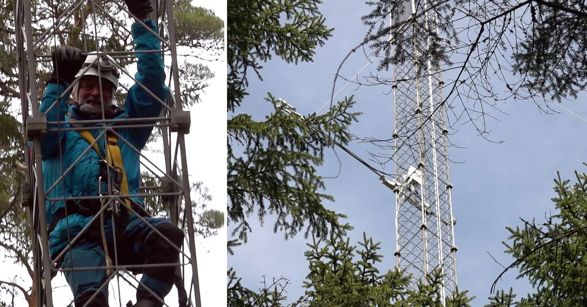 Ny forskning &ndash; hyggesfritt skogsbruk kan f&ouml;ra oss n&auml;rmare klimatm&aring;len