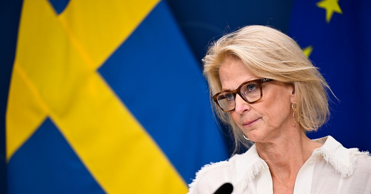 Uppgifter: Finansministern vill halvera matmomsen