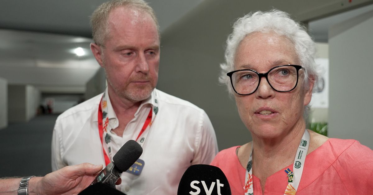 Sverige dömer ut COP-utkastet: ”Inte tillräckligt ambitiöst”