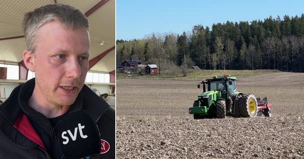 Högre dieselpriser pressar bönder – Gustavs gård i Åmål förbrukar 10 000 liter i veckan