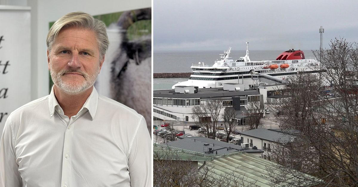 Gotlands färjepriser: Fraktpriserna har också ökat
