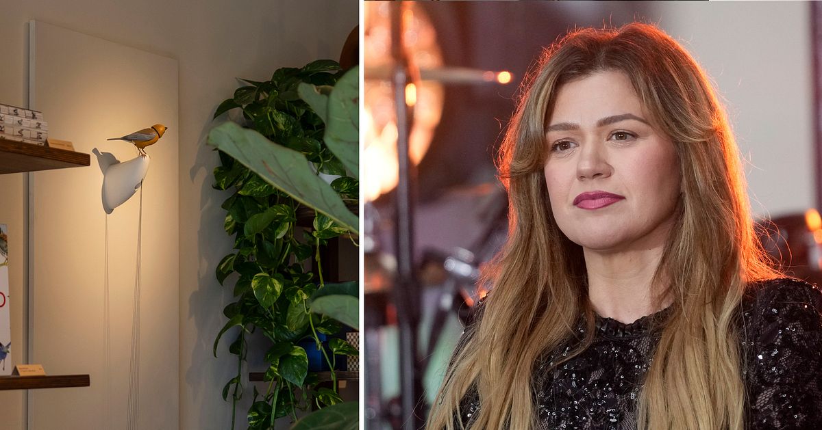 Kelly Clarkson i Pretty Woman-drama: ville k&ouml;pa prydnadsf&aring;gel