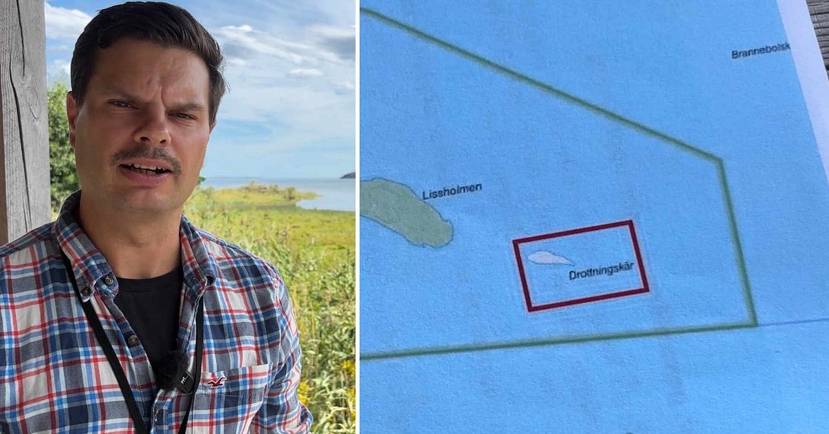 Ny skarvkoloni hittad i Nyk&ouml;ping &ndash; kommunen ans&ouml;ker om skyddsjakt