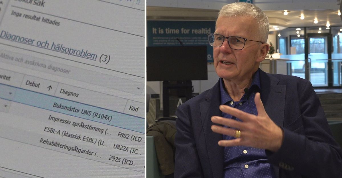 Första titten på kritiserade journalsystemet i Region Skåne: ”Förstår de som är oroliga”
