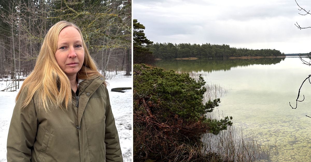 Kalkindustrin vill att Nationalparken ritas om &ndash; ingen invigning i sommar