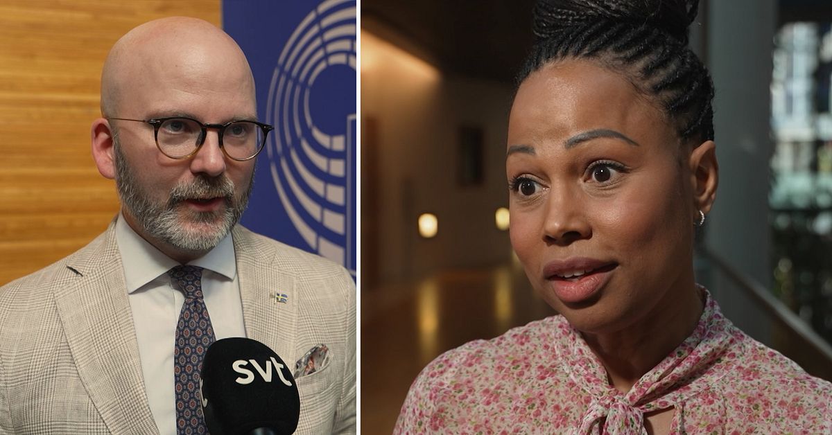 Si prevede che la Svezia darà nuova fiducia a von der Leyen