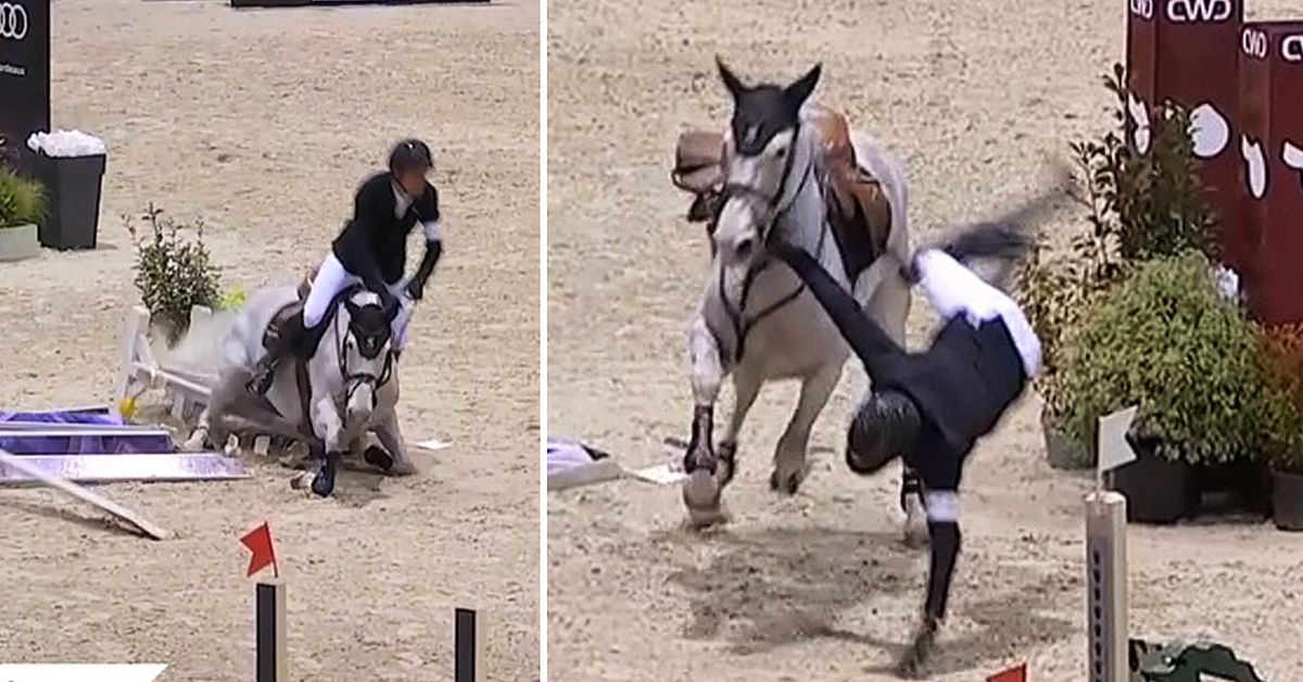 Sport equestri: Henrik von Eckermann è caduto da cavallo: “È stato drammatico”