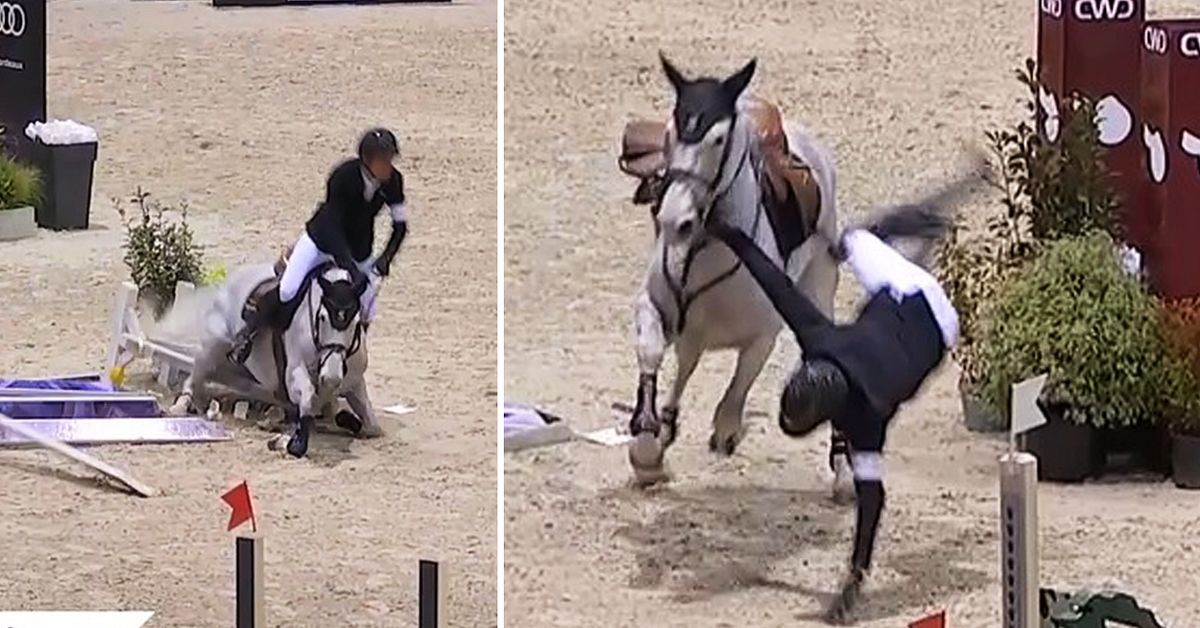 Sport equestri: Henrik von Eckermann è caduto da cavallo: “È stato drammatico”