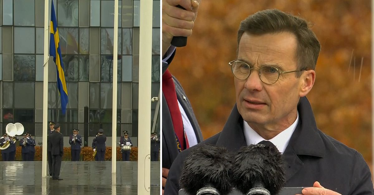 www.svt.se