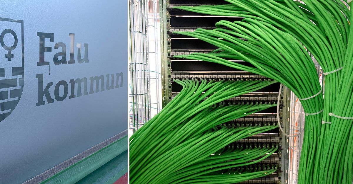 Efter omfattande dataläckan: Uppgifter från Falu kommun på darknet