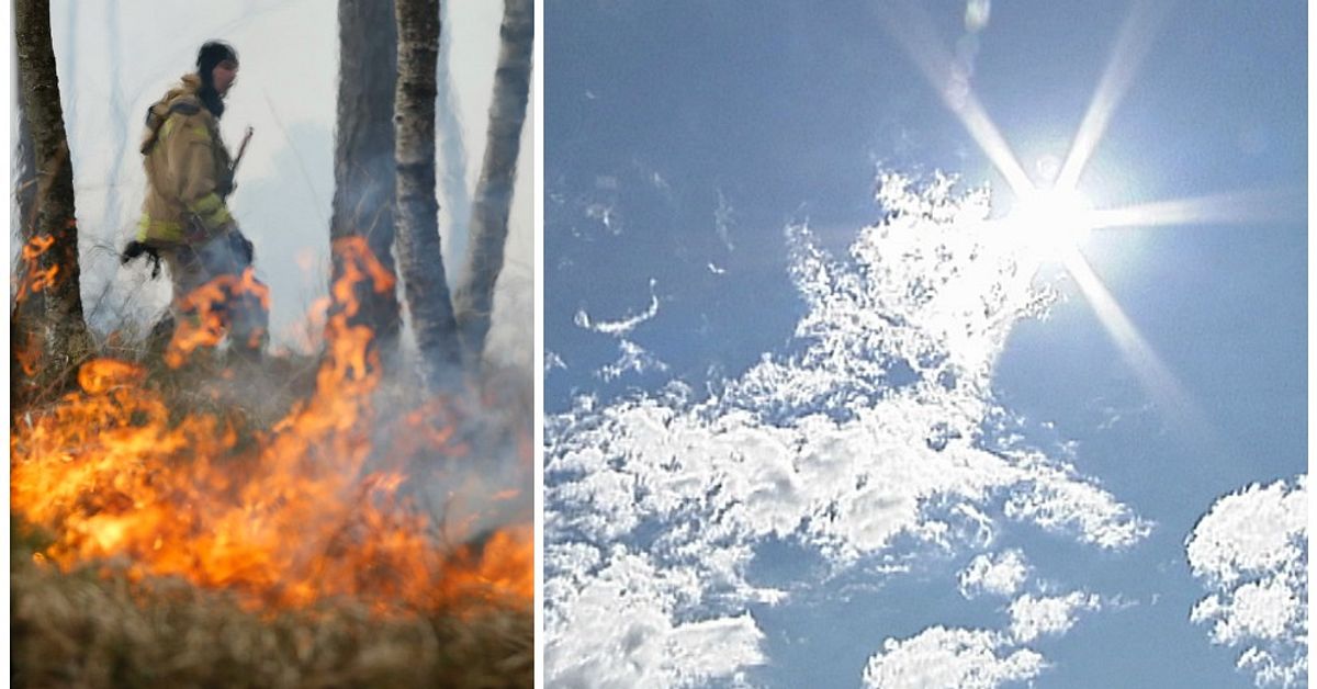 Eldningsf&ouml;rbud inf&ouml;rs p&aring; Gotland: &rdquo;Mycket torrt&rdquo;