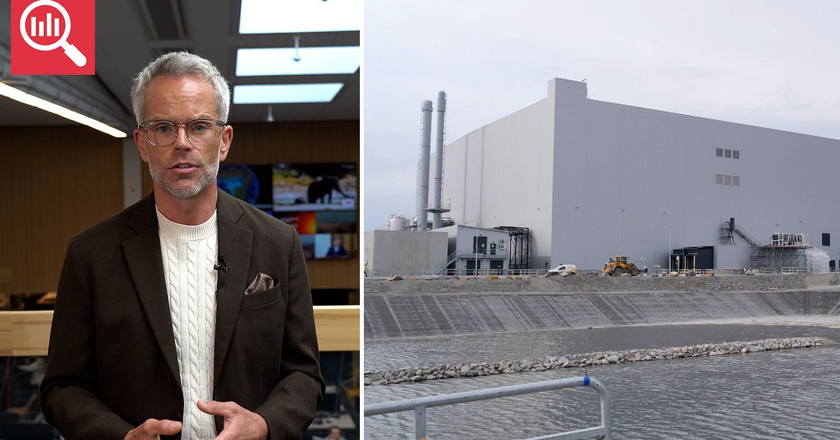 Analys: ”Man går ner på sparlåga för att överleva”