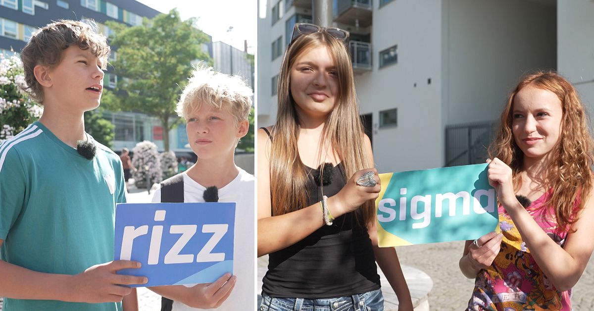 ”Skibidi” och ”rizz” – kan du generation Alfa-slang? | SVT Nyheter