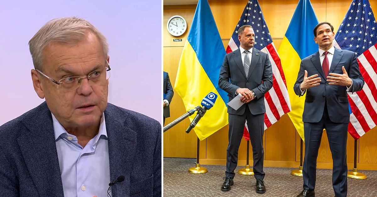 Framsteg i förhandlingarna om fredsplan i Schweiz