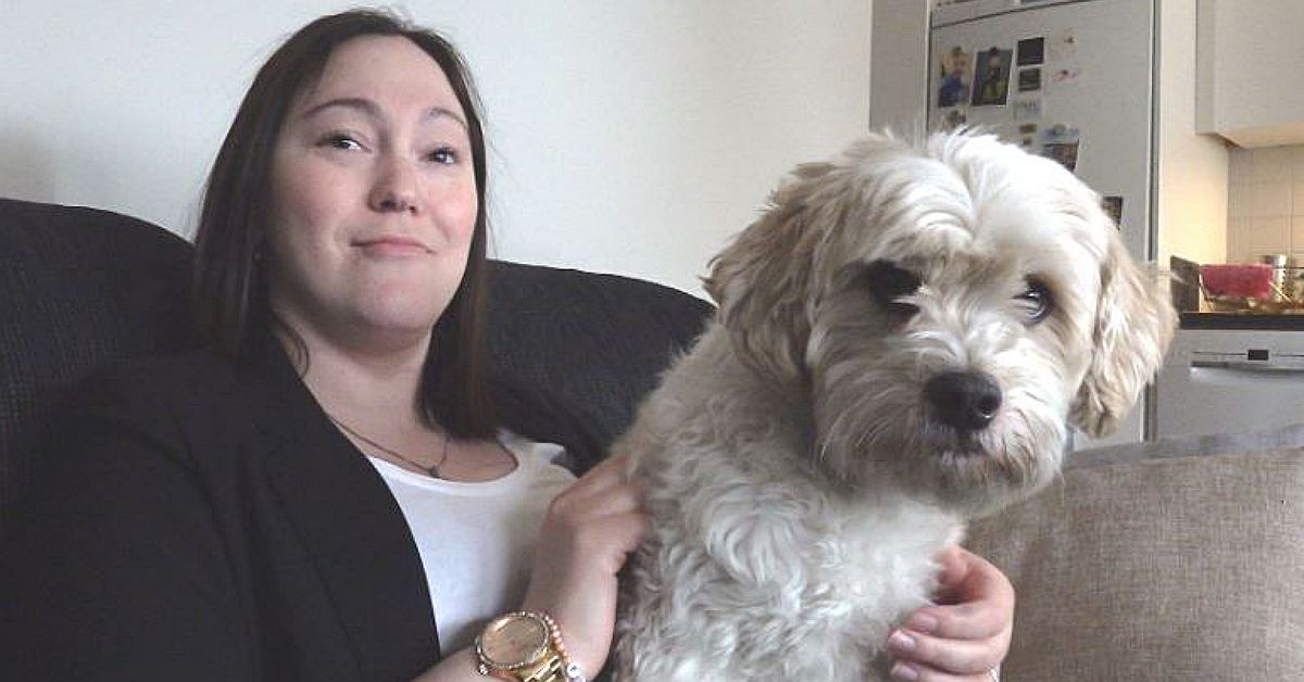 Kiruna lockar vikarier med hund på jobbet – följ med Bosse på LSS-boendet