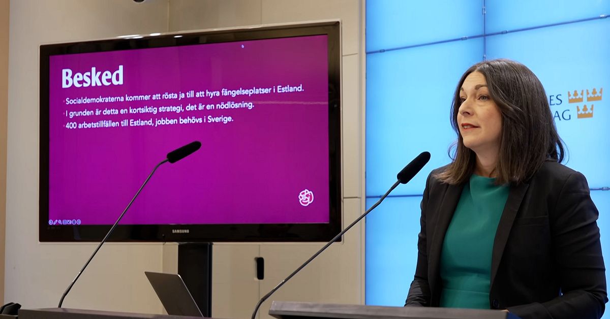 Tidöpartiernas plan blir verklighet – S säger ja