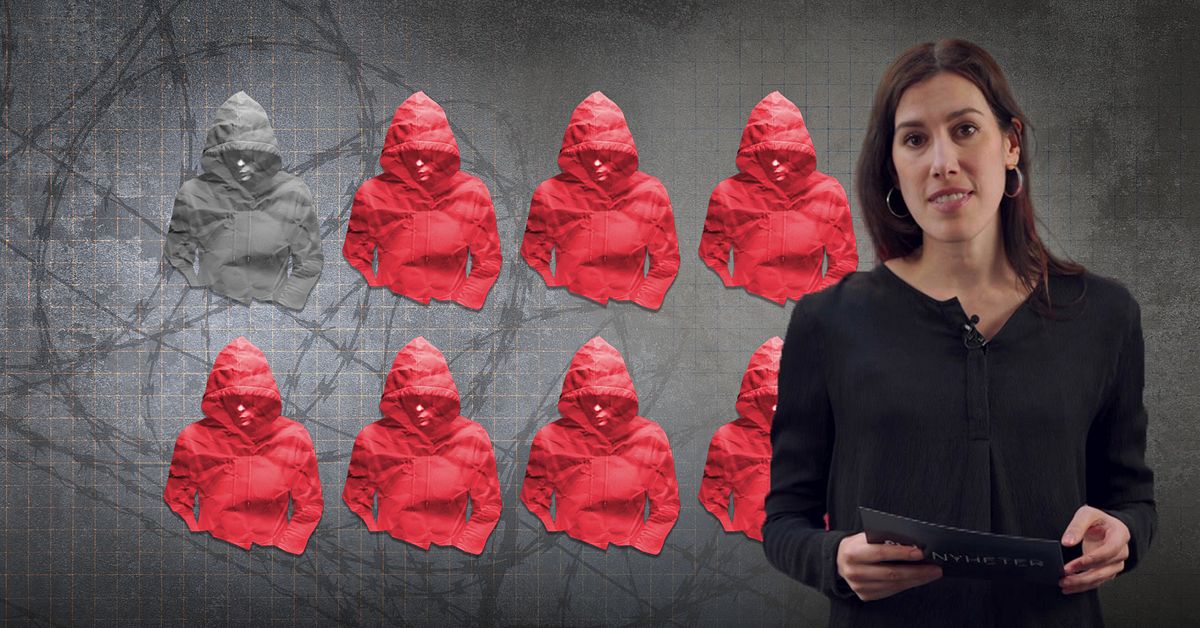 Yngre barn i f&auml;ngelse &ndash; minskar det brottsligheten?