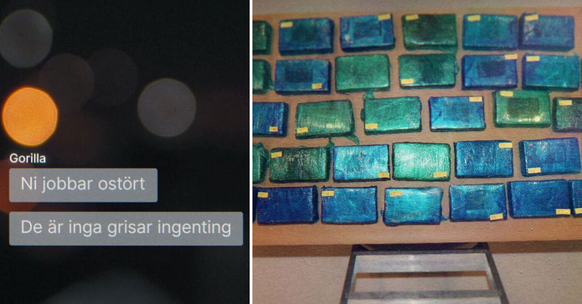 Kriminella jobbade i hamnen – samma dag som kokainfyndet