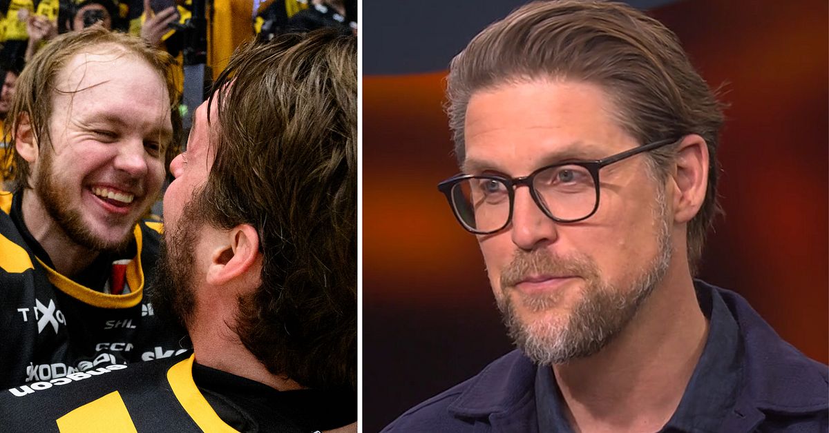 SVT:s expert Jonas Andersson efter Skellefteås SM-guld
