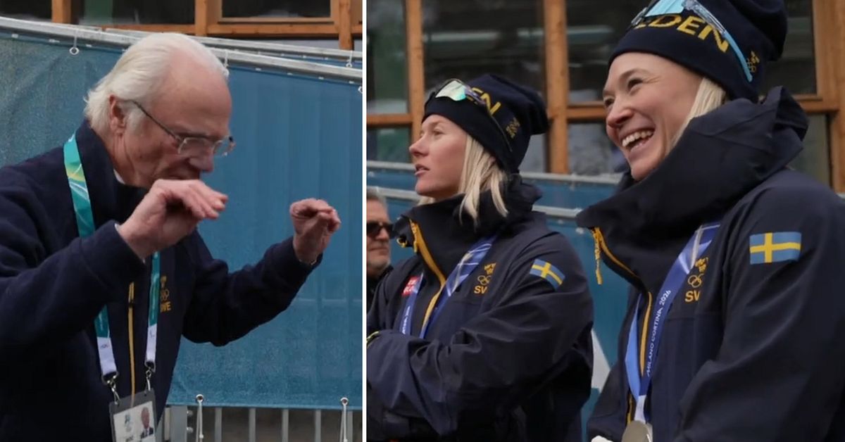 H&auml;r gratuleras svenska OS-medalj&ouml;rerna av kungen