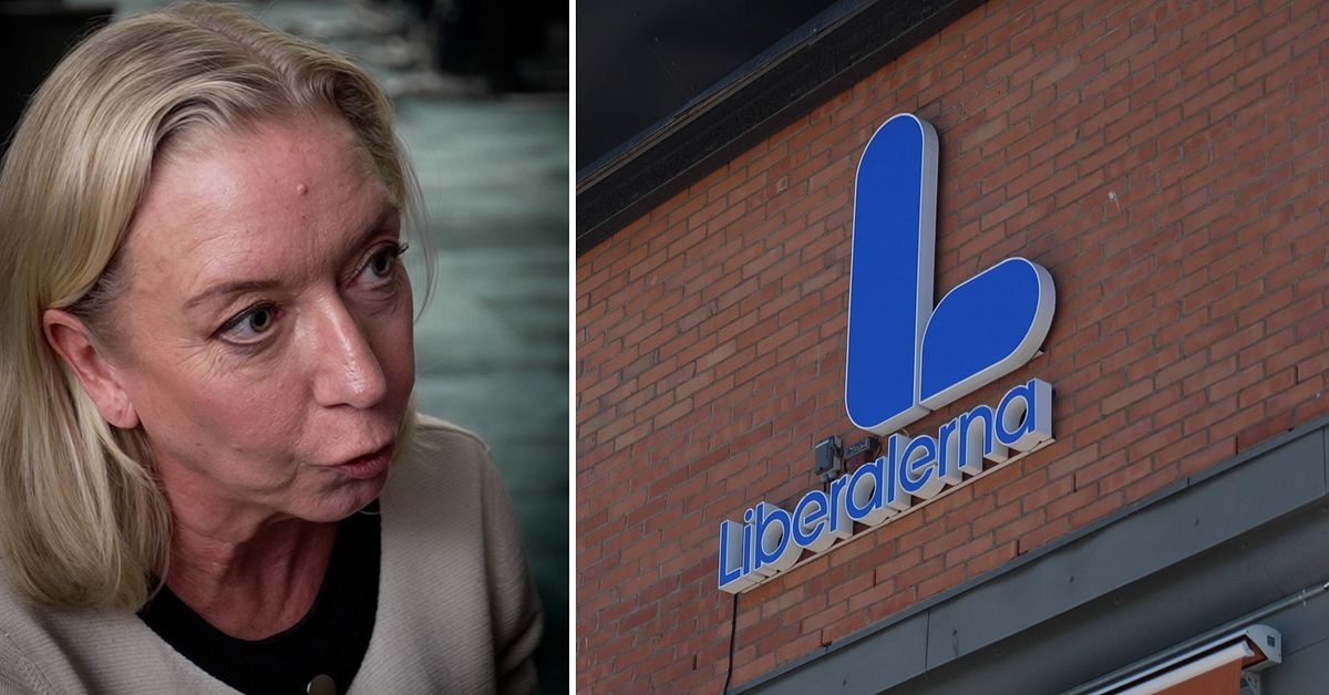 Efter SD-sv&auml;ngen &ndash; fyra fr&aring;gor om Liberalernas framtid