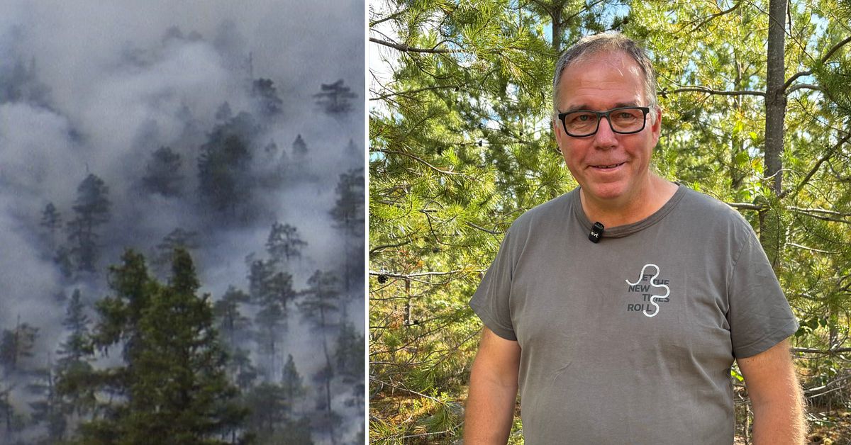 Jens skog brann upp &ndash; s&aring; ser Bodtr&auml;skfors ut 20 &aring;r senare