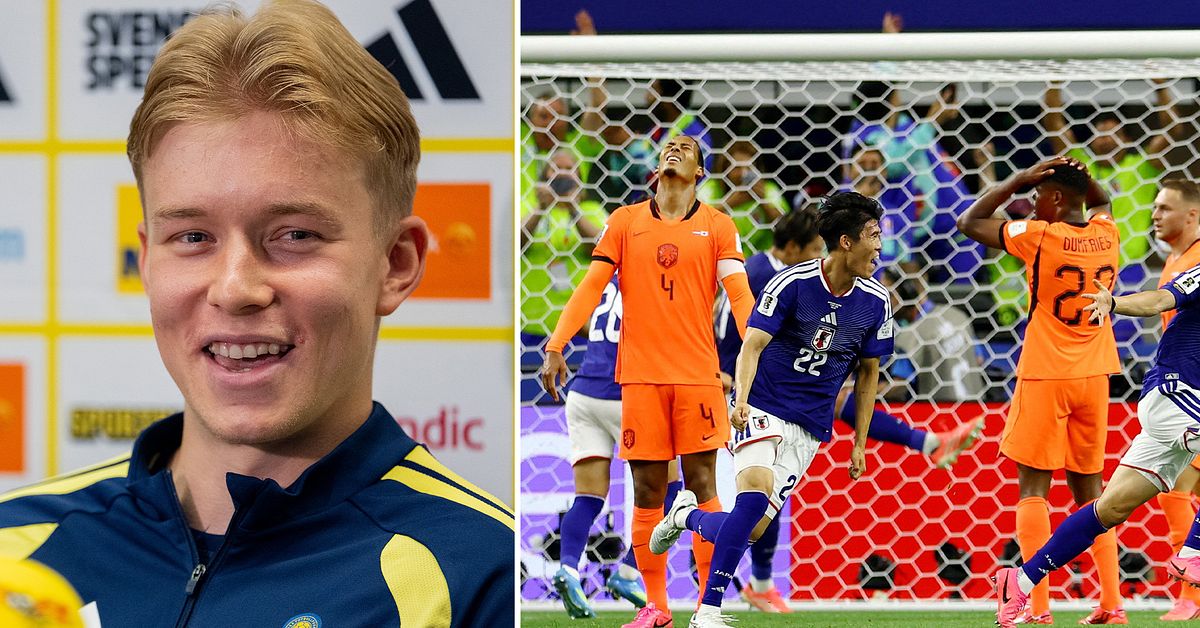 Sveriges dj&auml;rva inst&auml;llning: &rdquo;Ska absolut v&aring;ga vara offensiva&rdquo;