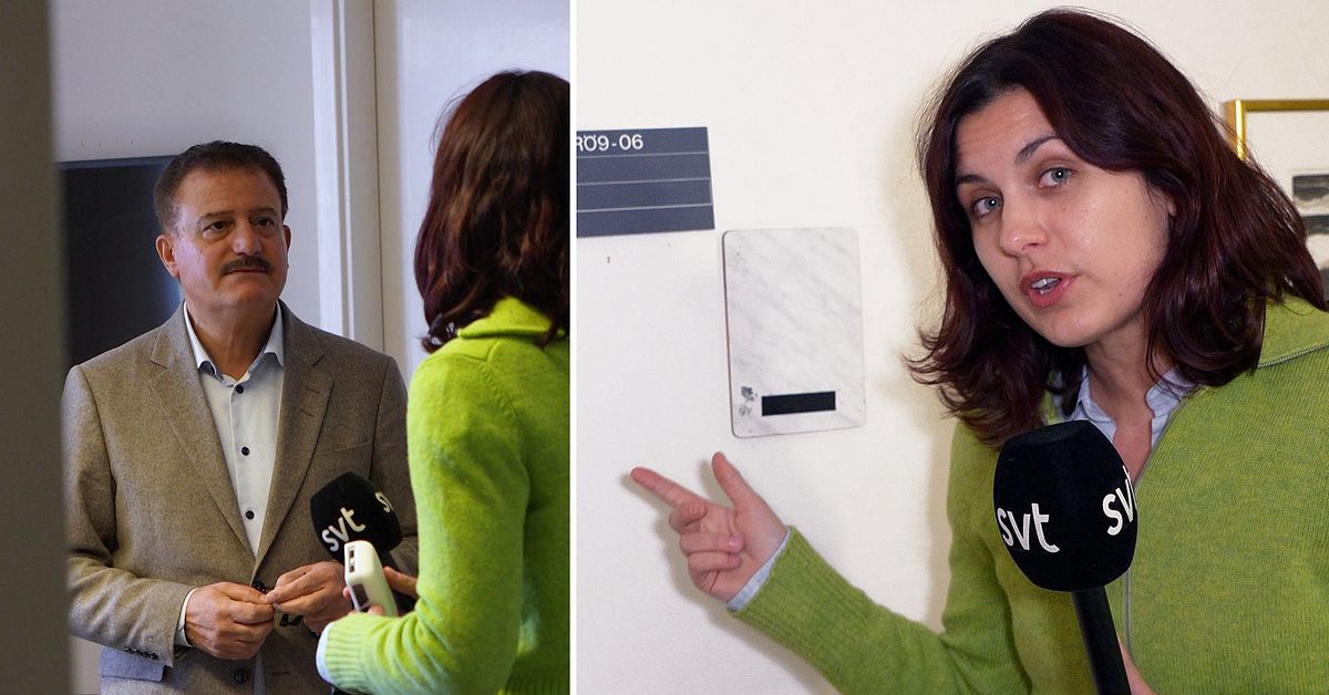 Här kommer Lorena Delgado Varas hamna – följ med till vildarnas korridor