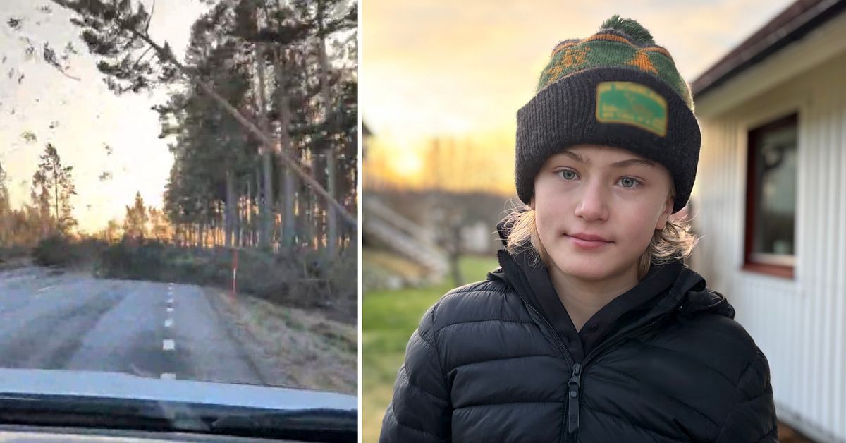 12-&aring;rige Frans filmade fallande tr&auml;d under stormen Johannes