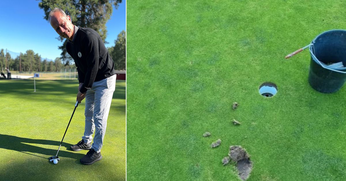 Misskötsel på golfbanor ökar: Utbildning för grönt kort ifrågasätts