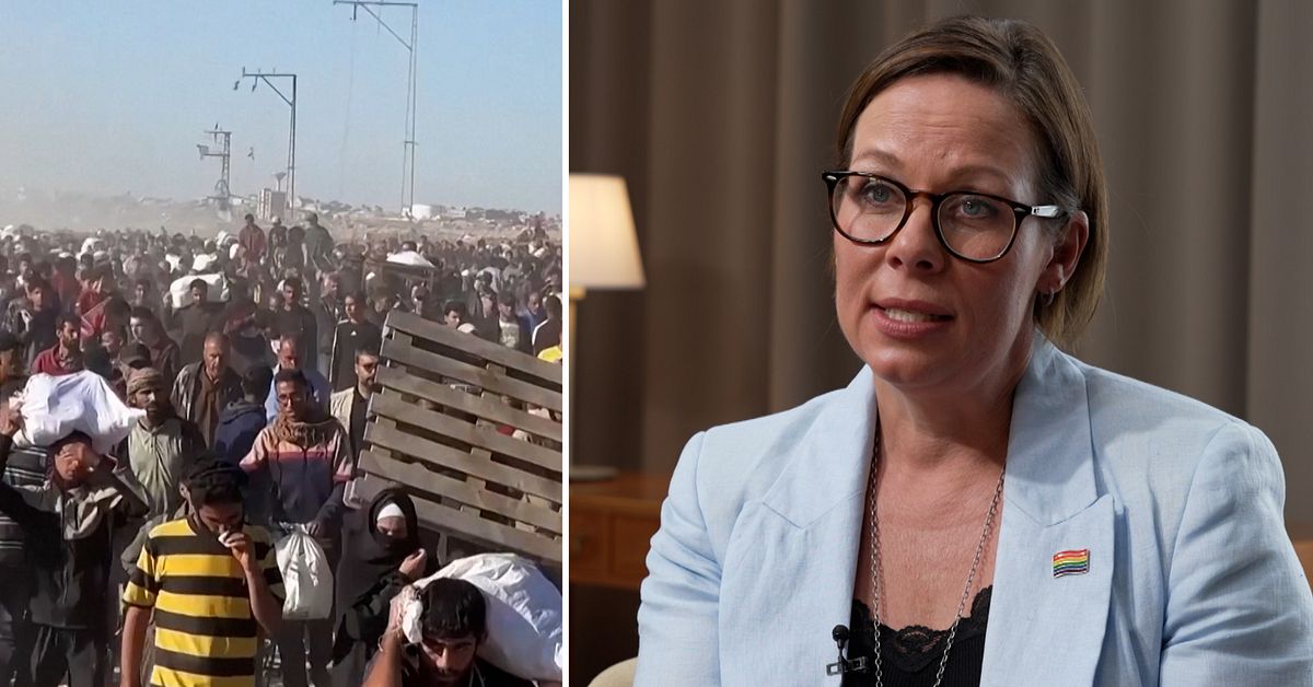 Regeringen vill frysa handeln med Israel