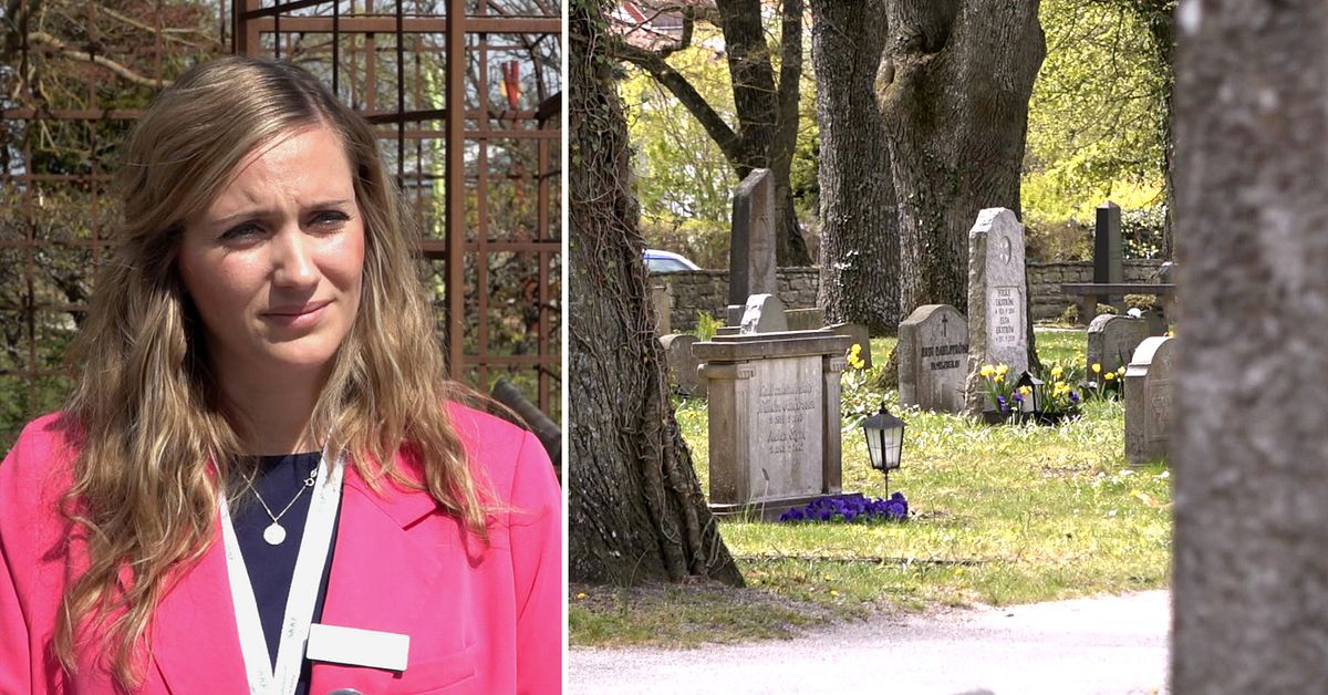 Digitaliseringen tar sig in p&aring; kyrkog&aring;rden &ndash; s&aring; kan AI anv&auml;ndas