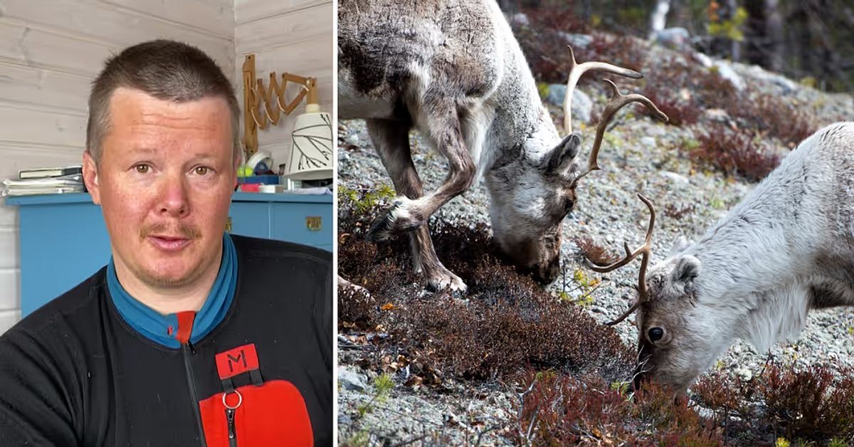 Landshövdingen hoppas hitta lösning för Ruvhten Sijte | SVT Nyheter