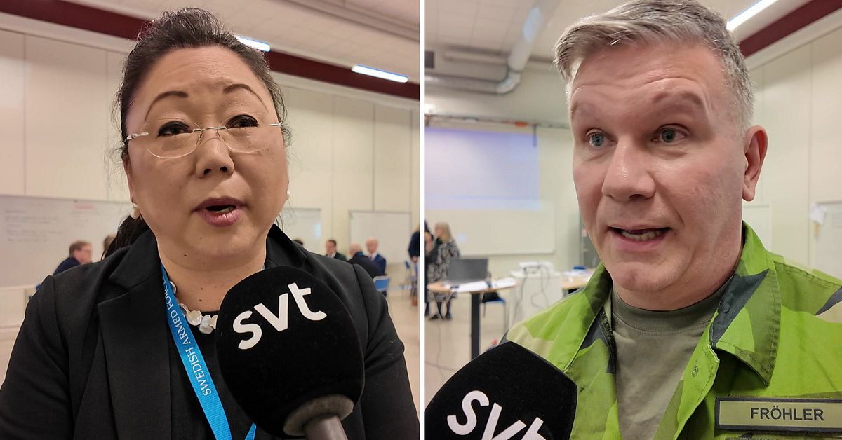 Hantering av m&aring;nga d&ouml;da i fokus p&aring; totalf&ouml;rsvars&ouml;vning