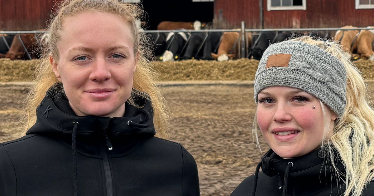 Ida och Felicia r&auml;ddade kossan Dalgard ur g&ouml;dselbrunn i Landsbro