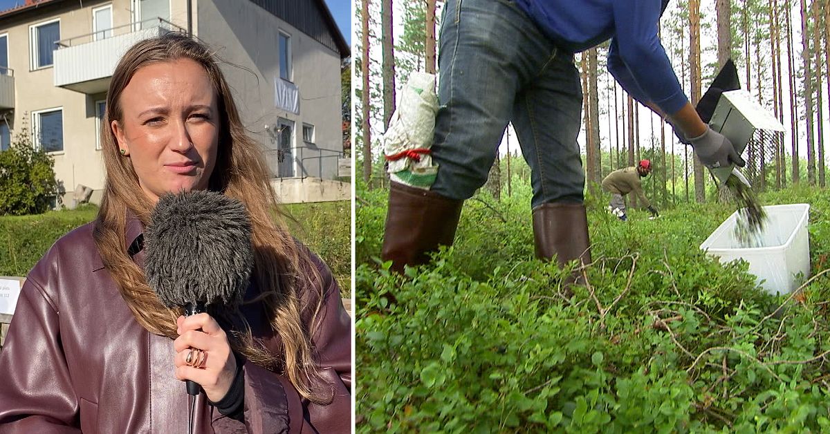Bärföretag misstänks ha bedrivit människohandel med thailändare