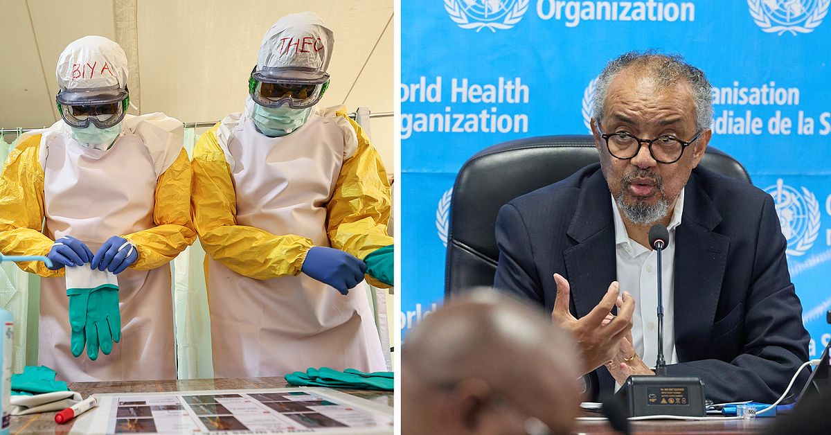 &Ouml;ver 2&nbsp;300 d&ouml;da i ebola &ndash; vaccin utvecklas