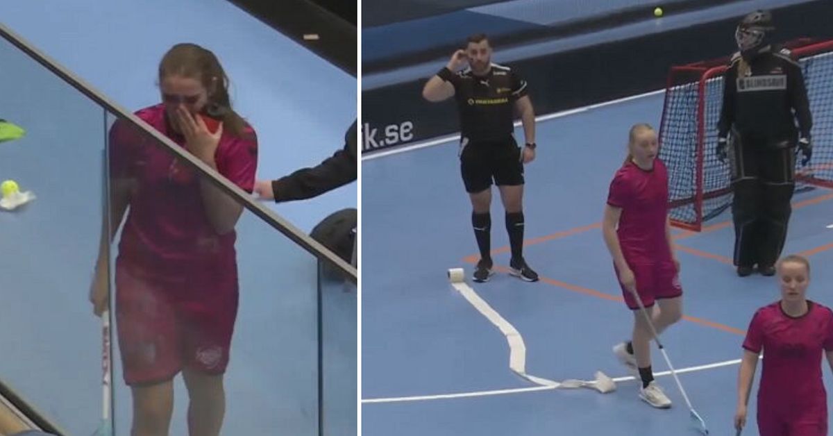 Toarulle kastades ut p&aring; planen i SM-slutspelet &ndash; fel Malm&ouml;-spelare visades ut