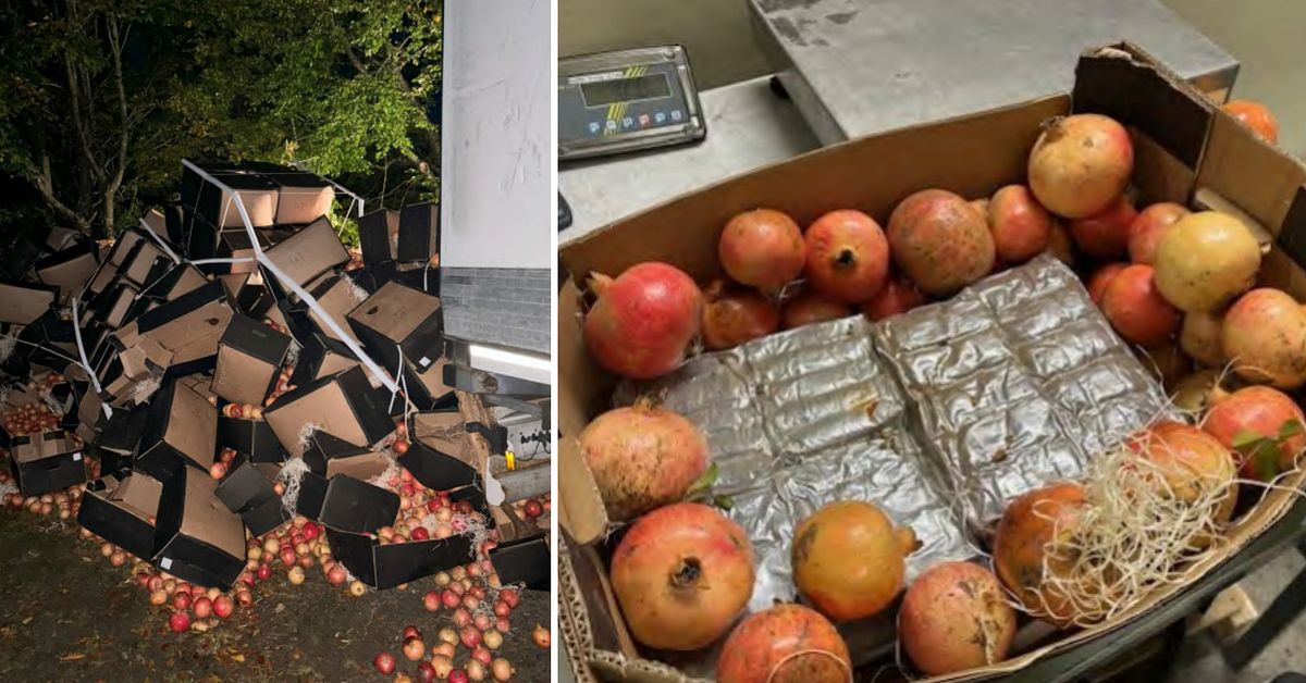620 kilo knark gömdes bland granatäpplen – tre män får fängelsestraff