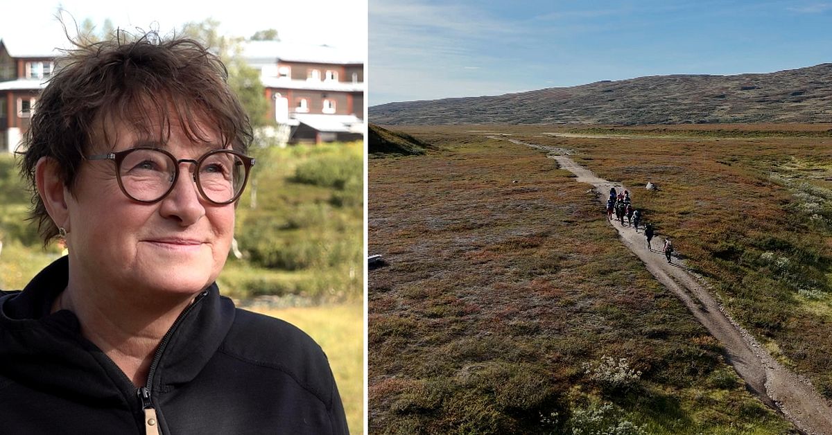 Fler besökare än i fjol – så var sommaren runt Jämtlandstriangeln