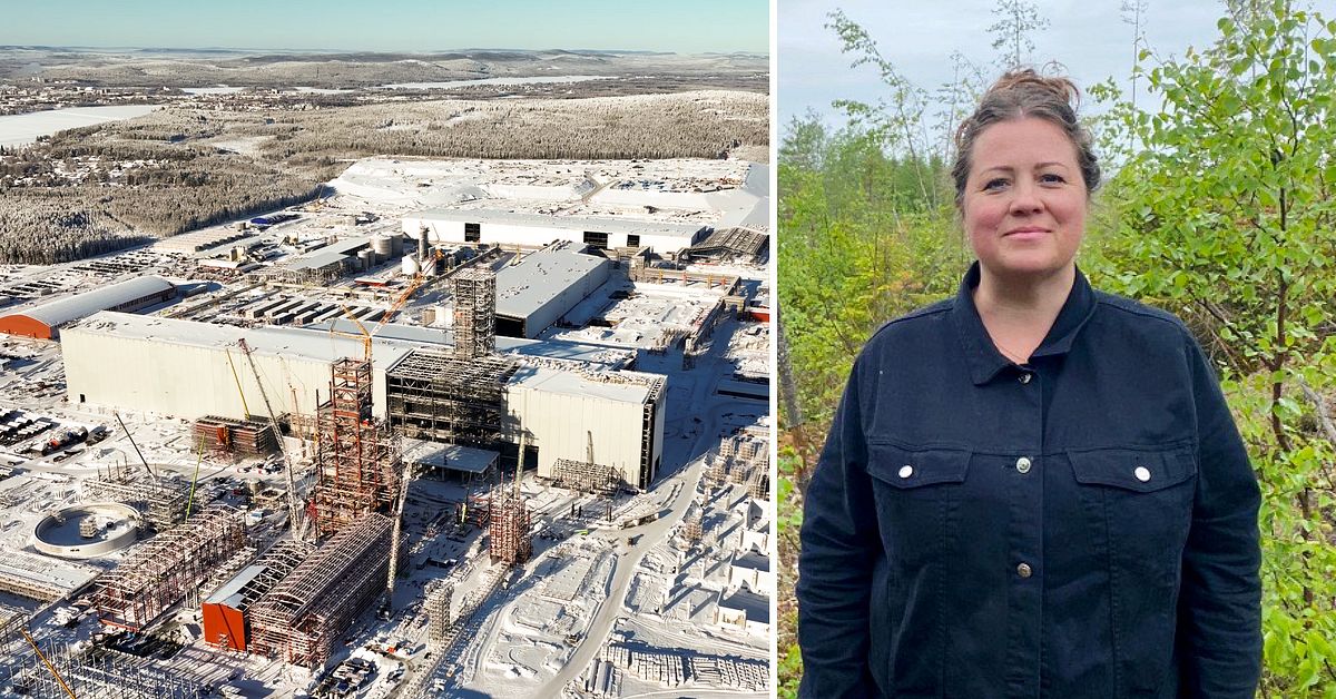 Efter elkritiken &ndash; Stegra delar inte kritik om dialogbrist