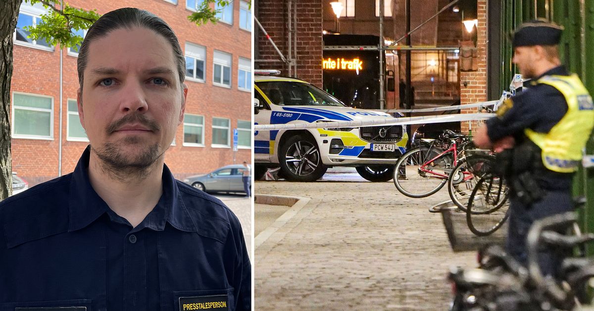 Polisen om misst&auml;nkta v&aring;ldt&auml;kten p&aring; Malm&ouml; C: &rdquo;Blev intvingad p&aring; toalett&rdquo;