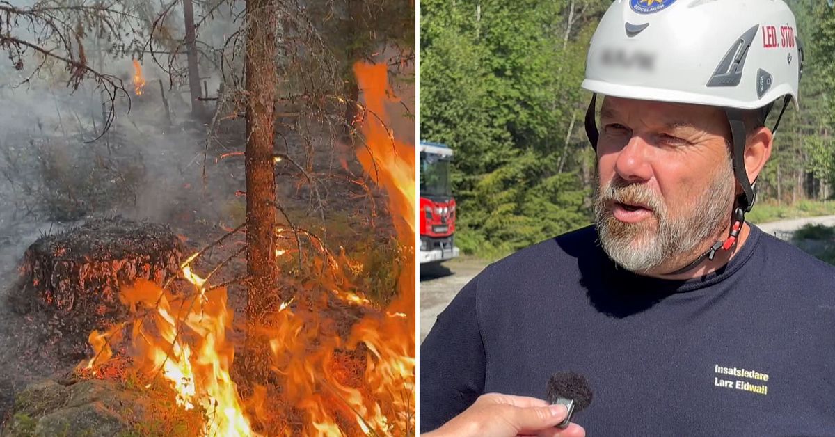 Ny stor skogsbrand utanf&ouml;r Skinnskatteberg &ndash; under kontroll