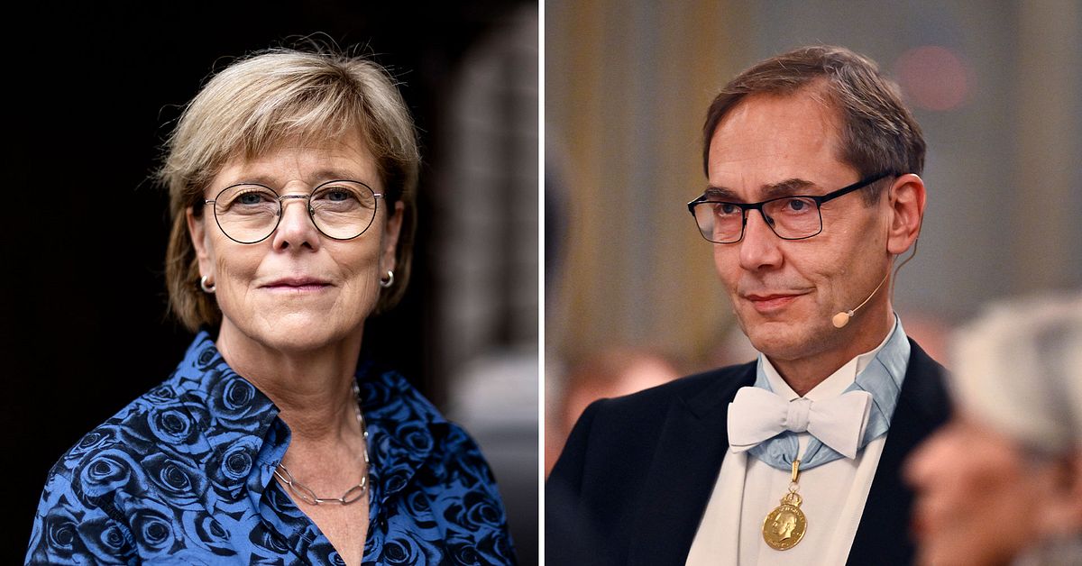 Mats Malm avg&aring;r som Svenska Akademiens st&auml;ndige sekreterare