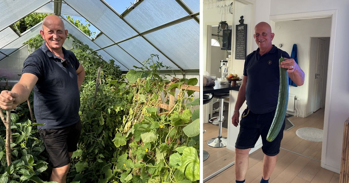 Amir Dapo i Växjö odlade jättegurka – tror på svenskt rekord