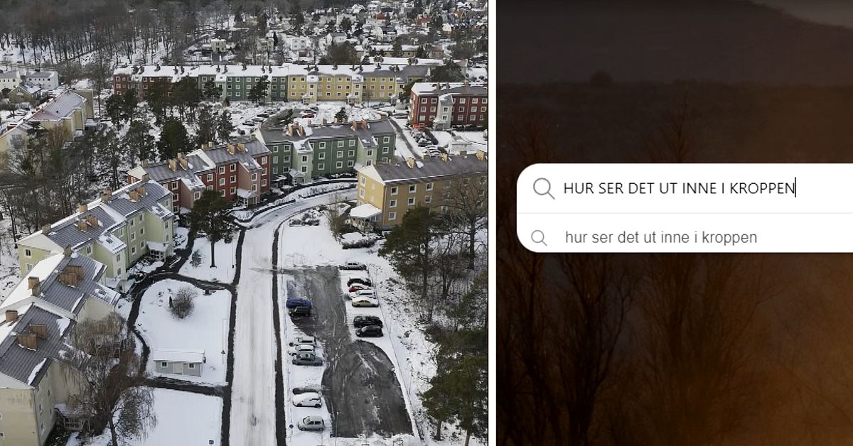 Misstänkte styckmördarens sökningar på nätet: ”Hur ser det ut inne i kroppen?”