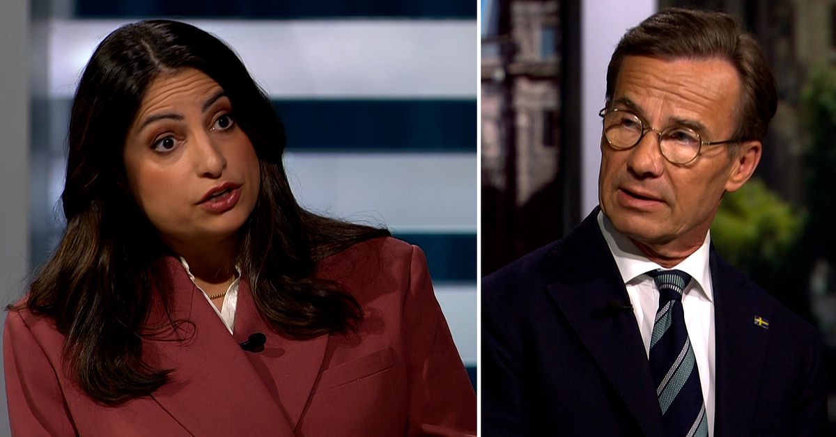 Statsministern: ”Vänsterpartiet är infiltrerat av islamister”